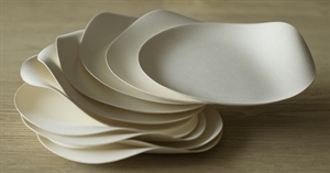 Picture of Paper Plates